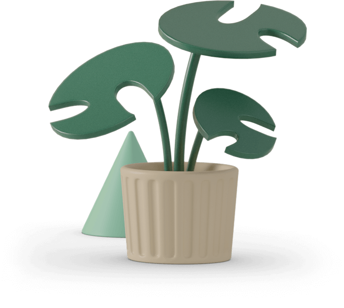 plant