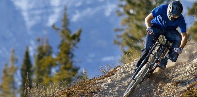 Mountain biker in blue shirt descending a steep rocky trail with pine trees and mountain peaks in the background.