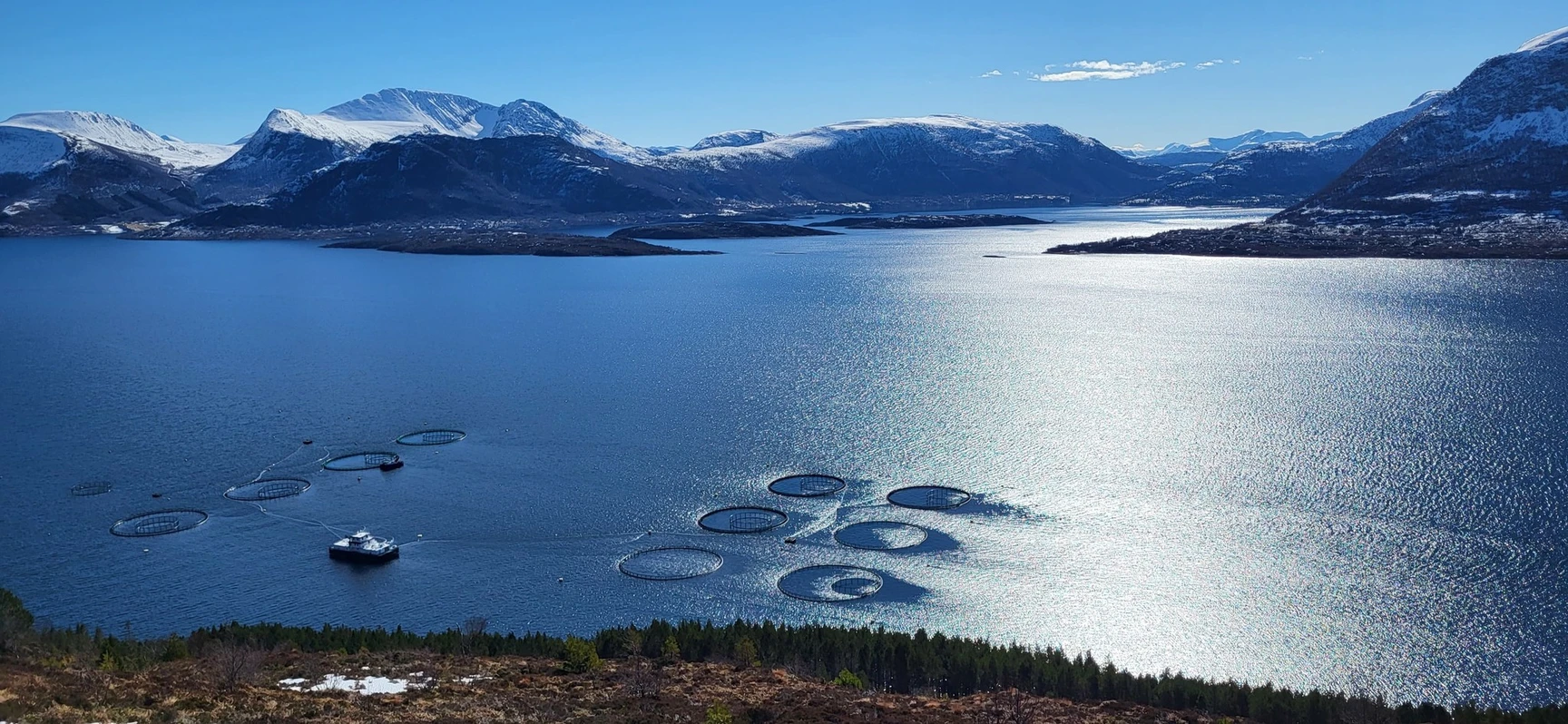 A scenic fjord with circular fish farming pens on the water, a boat nearby, surrounded by snow-capped mountains and forested shoreline under a clear blue sky.