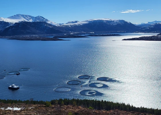 Is the seafood industry outgrowing its ERP systems?