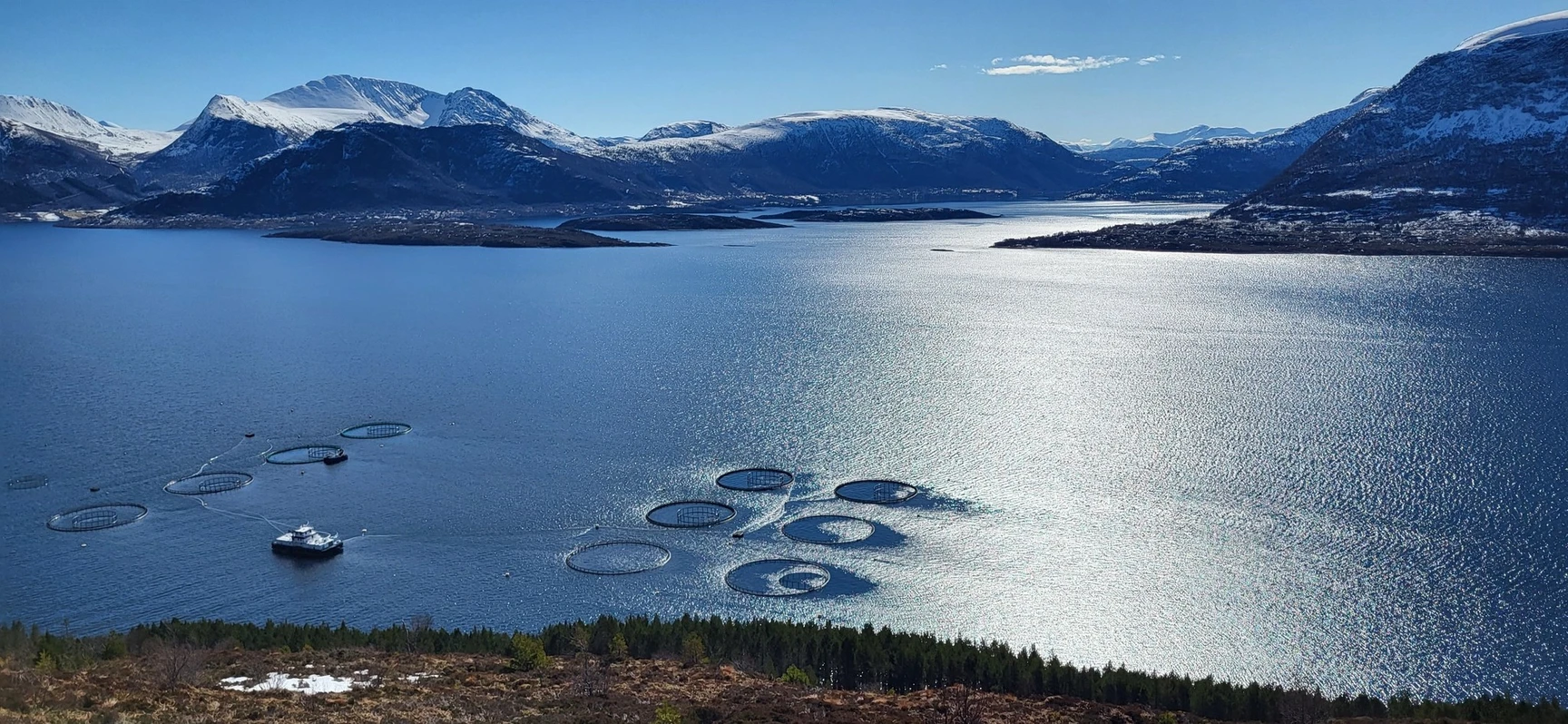 Wide view of circular fish farm pens in a blue fjord, surrounded by sunlit water and snow-capped mountains.